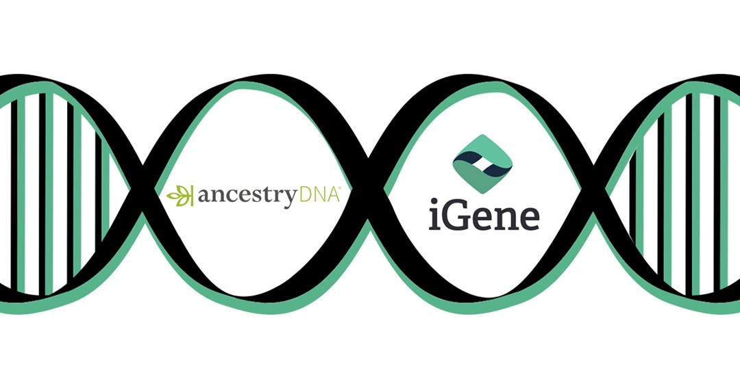 igene vs ancestrydna