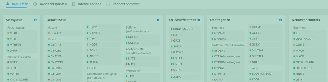 iGenius in de praktijk